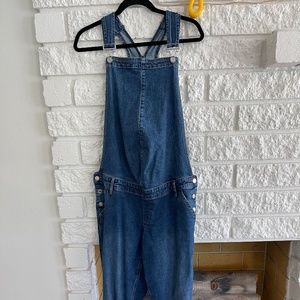 GAP MATERNITY OVERALLS - LARGE